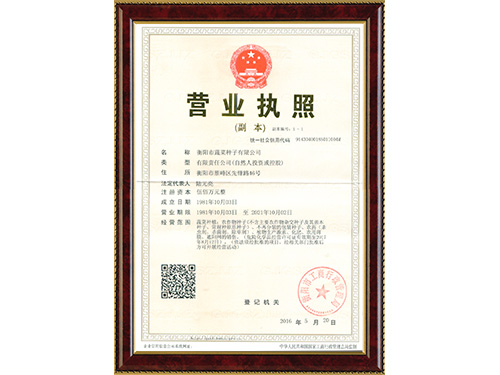 營(yíng)業(yè)執照